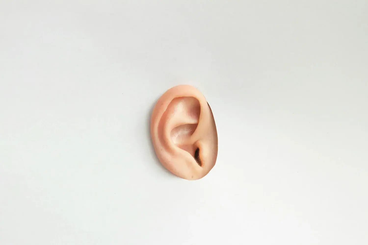 Free Hearing Aid Consultation in Pasadena: What You Need to Know